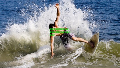 新舵手重塑斑马军团，家族智慧能否成为复兴密钥？