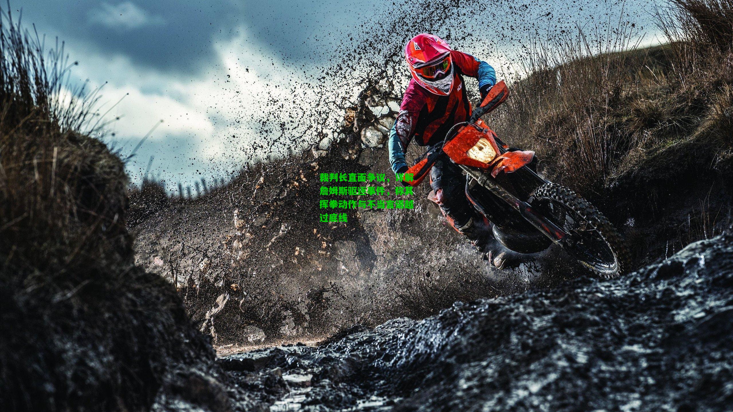 裁判长直面争议,详解詹姆斯驱逐事件,称其挥拳动作与不当言语越过底线