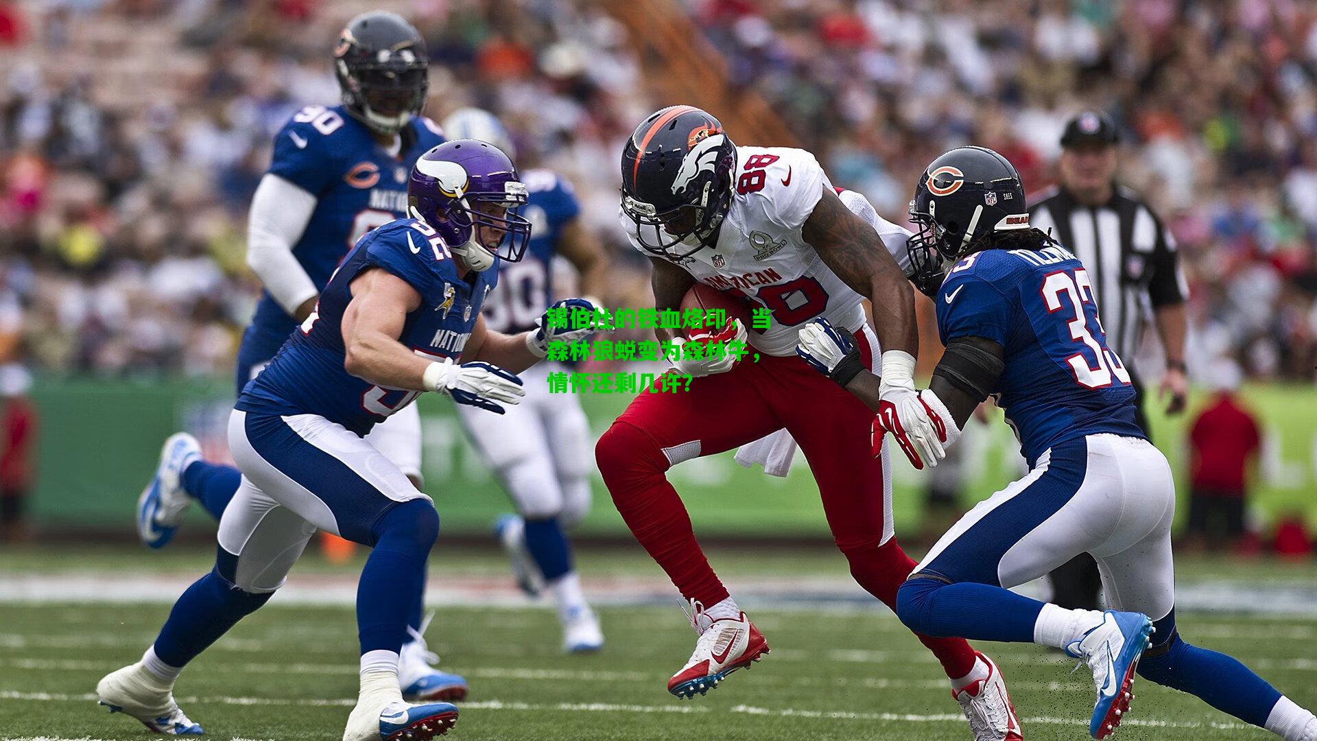 锡伯杜的铁血烙印,当森林狼蜕变为森林牛,情怀还剩几许?