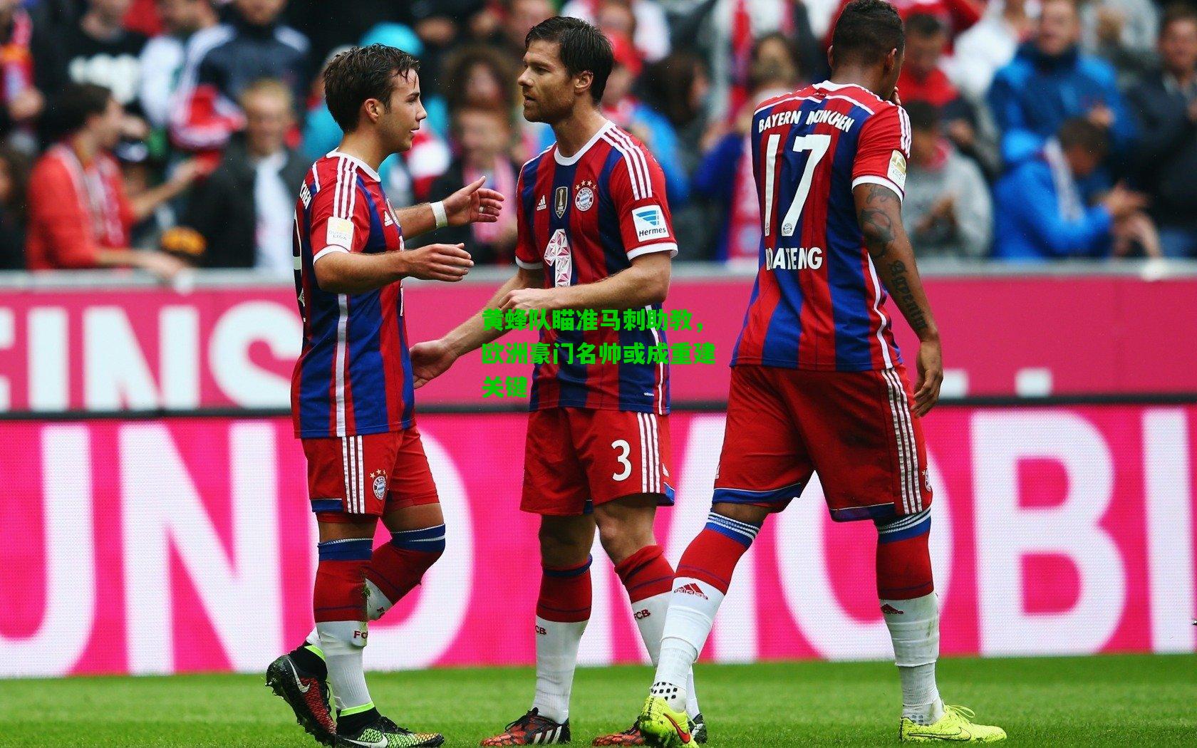 黄蜂队瞄准马刺助教,欧洲豪门名帅或成重建关键